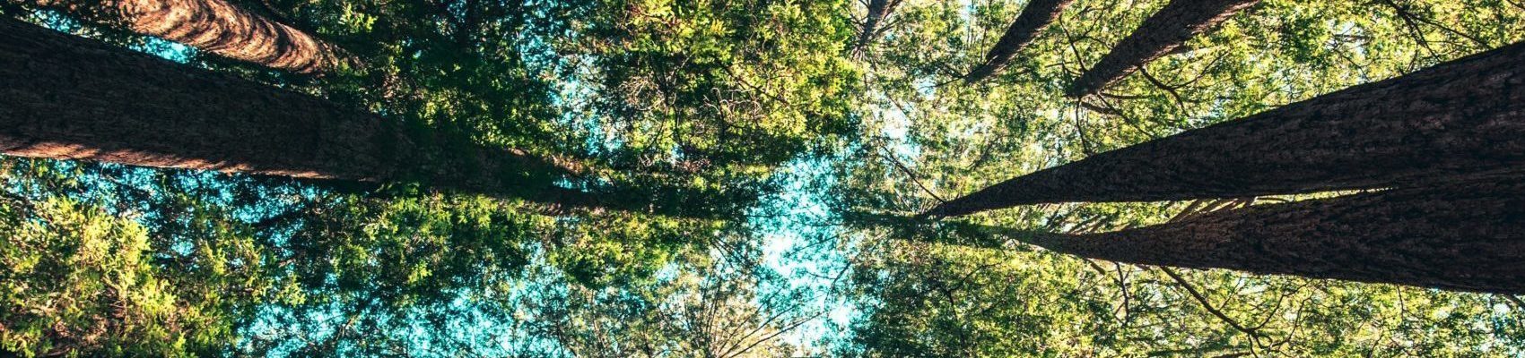 casey-horner-4rDCa5hBlCs-unsplash